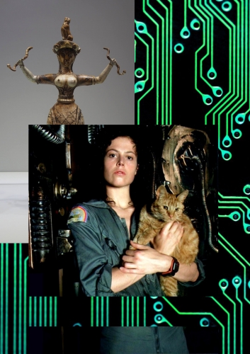 New events in the frame of Caminul Cultural 2015